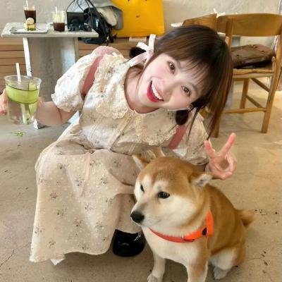 伪恋第二季