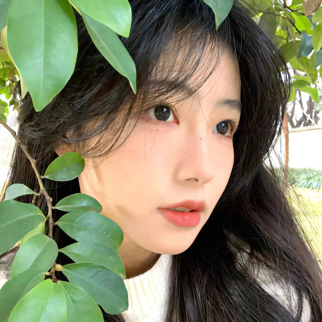 幽灵人种